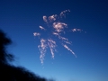 Fireworks 1