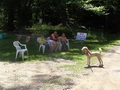 A Few Spectators