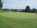 Golf Tournament Golf Tournament