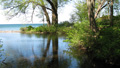 Pond near the Lake