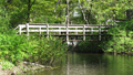 The Bridge