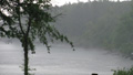 The Rain Storm