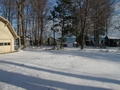 Snowy View