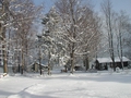 Snowy View