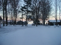 Snowy Sunset