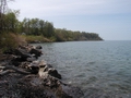 Spring Coastline