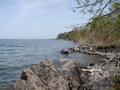 Spring Coastline