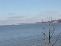 Beautiful Coastline