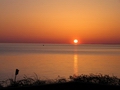 Sunrise in May