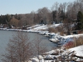 Snowy Coastline
