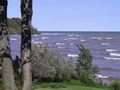 Blustery Clear