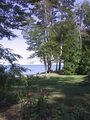 Almost a Formal Garden, and maybe better
