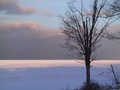Winter ...