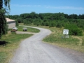 road_through_orchard